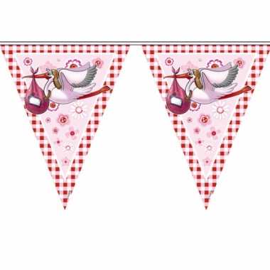 Vlaggenlijn geboorte meisje