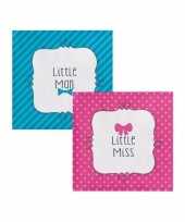 Babyshower gender reveal feestservetjes