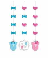 Babyshower gender reveal hangdecoratie