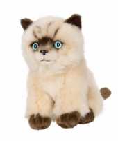 Siamese katten poezen pluche knuffel 16 cm